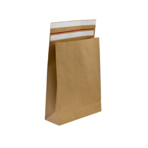 Kraft Paper Mailing Bag
